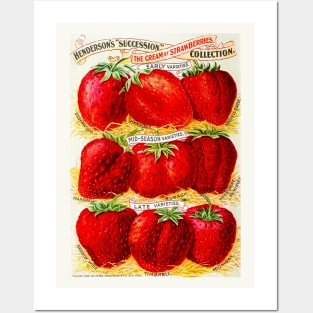 "Hendersons Strawberries" Posters and Art